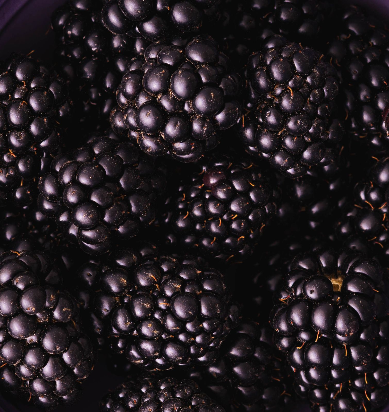 Blackberries